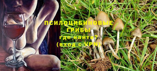 спиды Алзамай