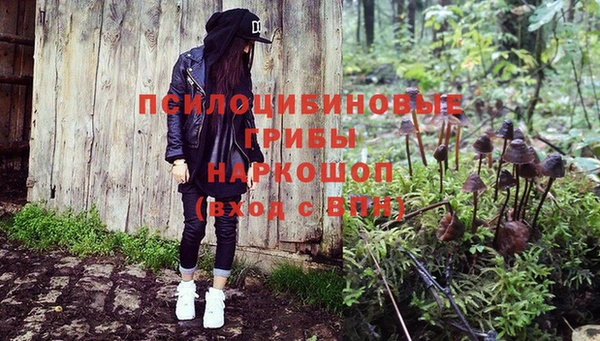 мяу мяу мука Абинск